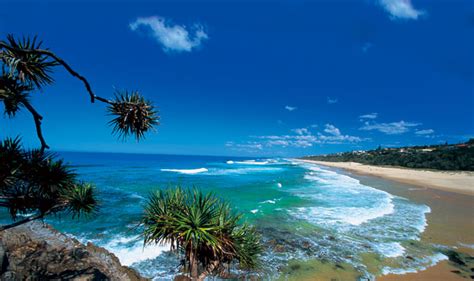 Plus national and international news. Australien Sehenswürdigkeiten: Sunshine Coast