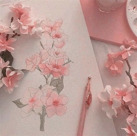 🐰 ೃ Pink Aesthetic ۪۪̥·༉ 🐇 Pastel Pink Aesthetic Pink Aesthetic