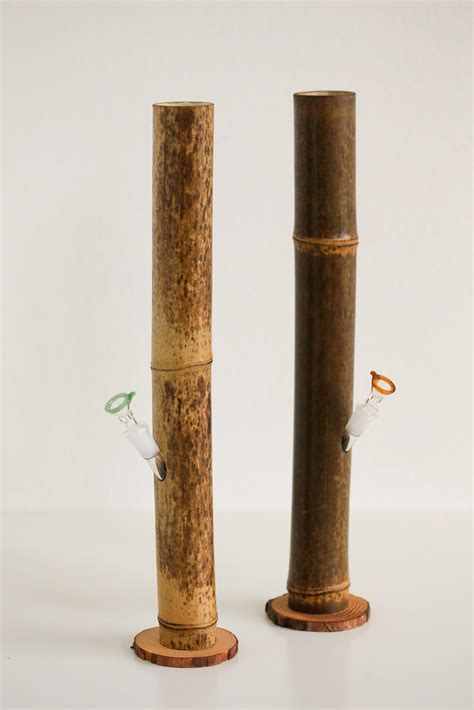Everything You Need To Know About Bamboo Bongs Laptrinhx News