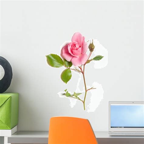 Pink Rose Wall Decal By Wallmonkeys Peel And Stick Graphic 18 In H X