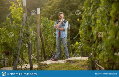 Pondering Handsome Wine Maker Vintner At Winery Farmer Vinedresser