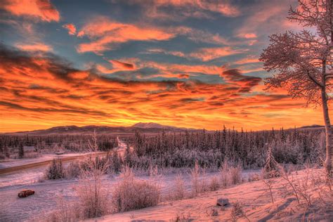Spectacular Winter Sunrise At Whitehorse Yukon