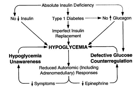 Schematic Diagram Of The Concept Of Hypoglycemia Associated Autonomic
