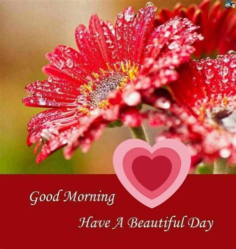 To spread the love from morning for the whole day and for life also we. With this app, share amazing collection of love good ...