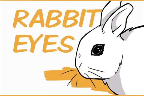 7 Fun Facts About Rabbit Eyes And 5 Problems To Look Out