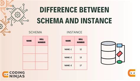 Difference Between Schema And Instance Coding Ninjas