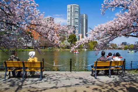 The Best Time To Visit Japan A Complete Guide The True Japan