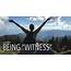 Being Witness Acts 84 8  Riverside Christian Reformed Church