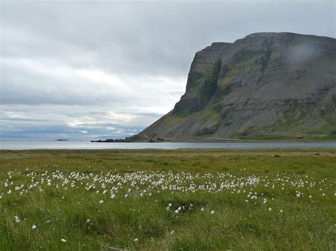 2023 Best 10 Trails And Hikes In Westfjords Alltrails