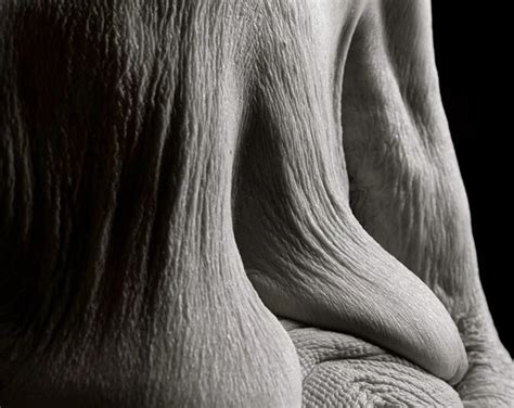 Close Up Portraits Reveal What The Human Body Looks Like 100 Years Of