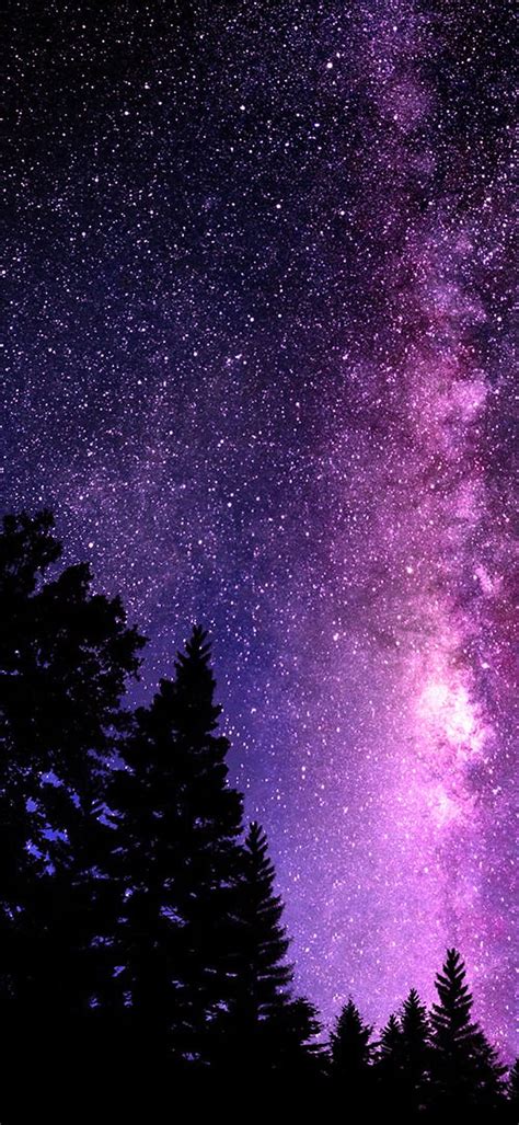 Purple Heaven Dark Galaxy Pretty Purple Sky Trees Hd Phone