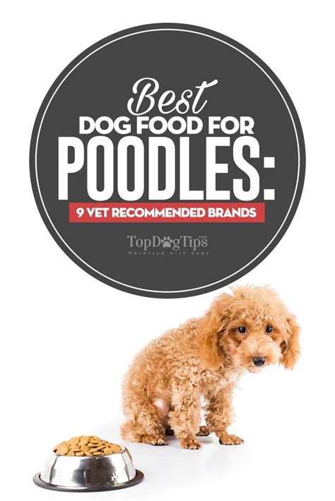 Royal canin toy miniature poodle loaf in sauce canned dog. Best Dog Food for Poodles (all sizes): 9 Vet Recommended ...