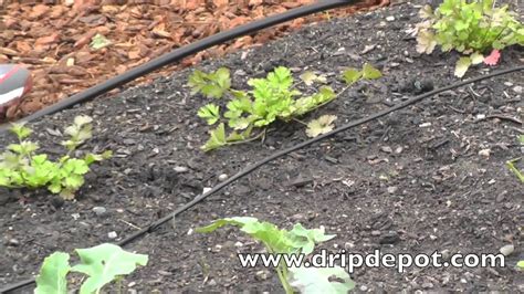 Learn how to set one up in your own yard. How to Setup a Drip Irrigation System for a Small ...