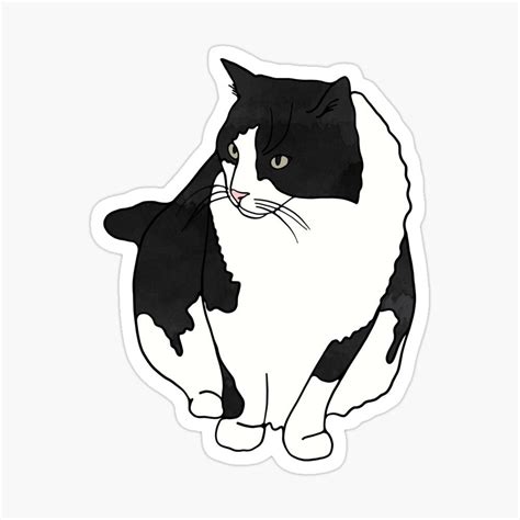 Black And White Cat Sticker By Murialbezanson In 2021 White Cat