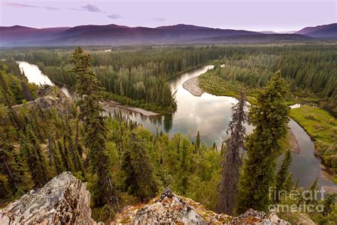 Yukon Canada Taiga Wilderness And Mcquesten River Photograph By Stephan