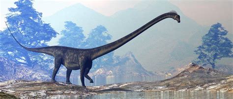 Discover The Oldest Dinosaurs Ever Discovered Az Animals