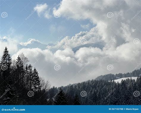 Beautiful Low Winter Clouds And Fog Condensation In The Swiss Alps