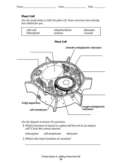 Blank Animal Cell Diagram To Label Pdf 2020 2022 Fill And Sign