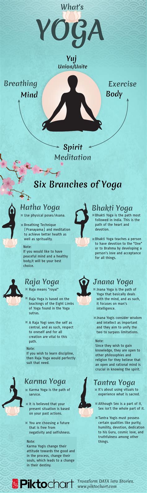 15 informative infographics on yoga visual ly
