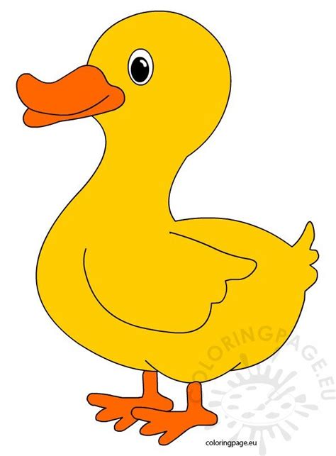Check out our nice collection of the animals coloring pictures worksheets.new animals coloring pages added all the time. Cute Duck - Coloring Page
