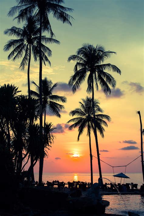 Palm Trees Silhouettes At Tropical Coast During An Amazing Sunset