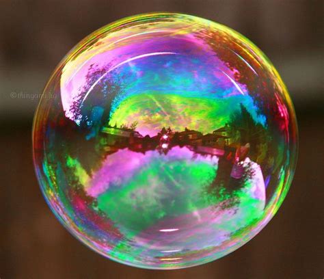 Im Forever Blowing Bubbles Scenery Photography Macro Photography