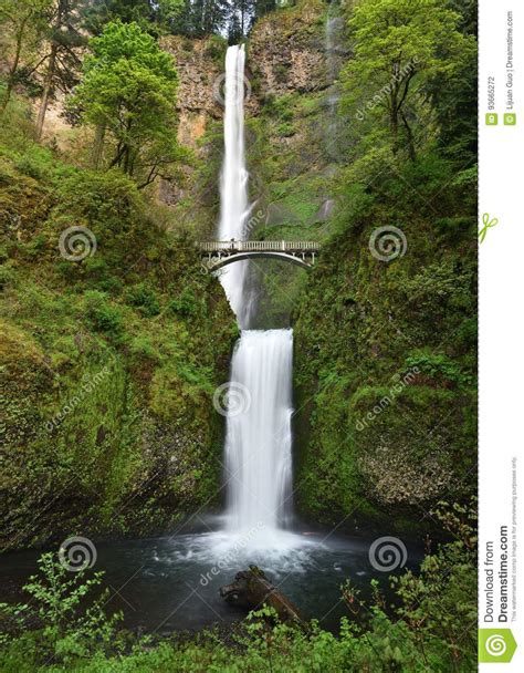 Multnomah Falls Stock Photo Image Of Creek Oregon Spring 93665272