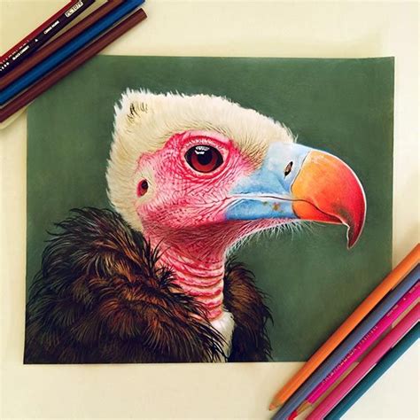 30 Astonishing Color Pencil Drawings By Morgan Davidson Realistic