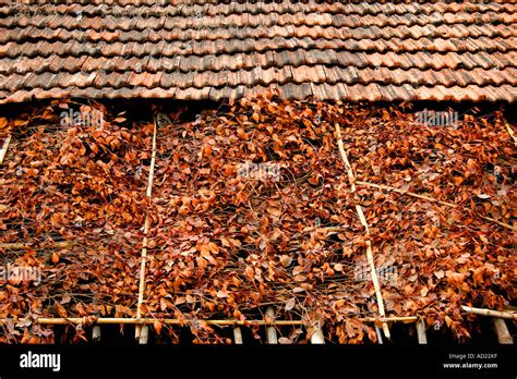 Mangalore Tiles Hi Res Stock Photography And Images Alamy