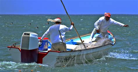 La Pesca Mexicana Una Actividad Inmensa Como El Mar 2000agro Revista