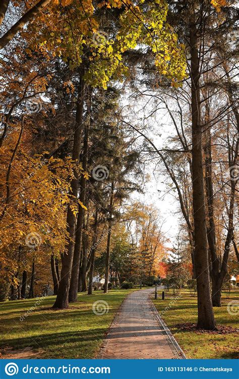 Beautiful Autumn Park With Trees And Bushes On Sunny Day Stock Photo