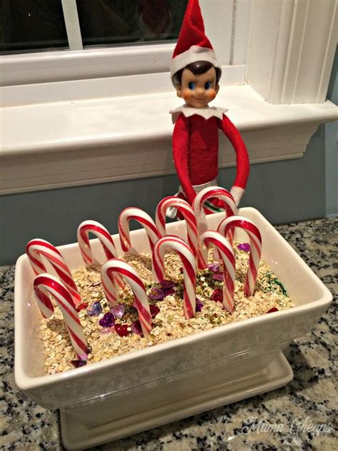 Print and cut apart the poems and attach to a candy cane, craft, or activity to share the truth of christmas. Fun Elf Idea: Magic Candy Cane Christmas Garden + FREE ...