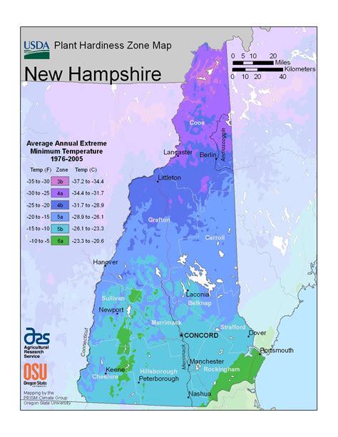 If planting a summer vegetable garden, root vegetables like potatoes love the massachusett planting zone conditions, as do carrots. Plant Hardiness Zones | The How Do Gardener