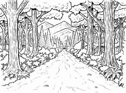 Forest Coloring Pages Printable Enchanted Tree Rainforest