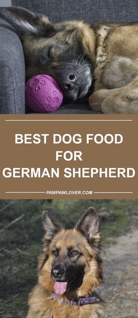 There is also a reduced activity version of this recipe 10 Best Dog Foods For German Shepherds (Puppies & Adults ...