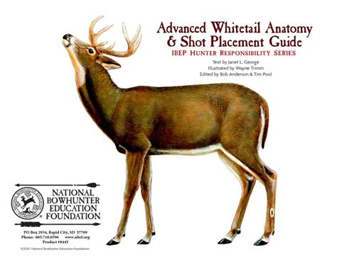 Whitetail Deer Shot Placement Aids Available From National Bowhunter