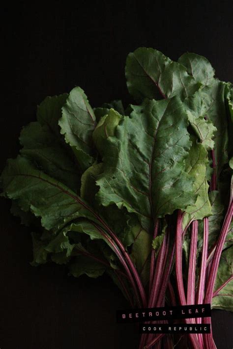 The same goes for chard. Beetroot Leaf And Yoghurt Flatbread (Gozleme) - Cook ...