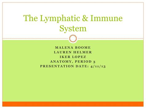 Ppt The Lymphatic And Immune System Powerpoint Presentation Free