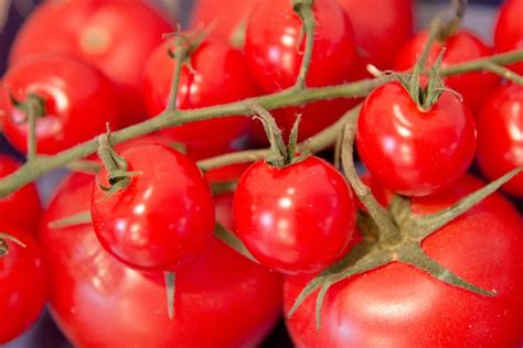 Tomatoes Vegetables Food Free Photo On Pixabay Pixabay