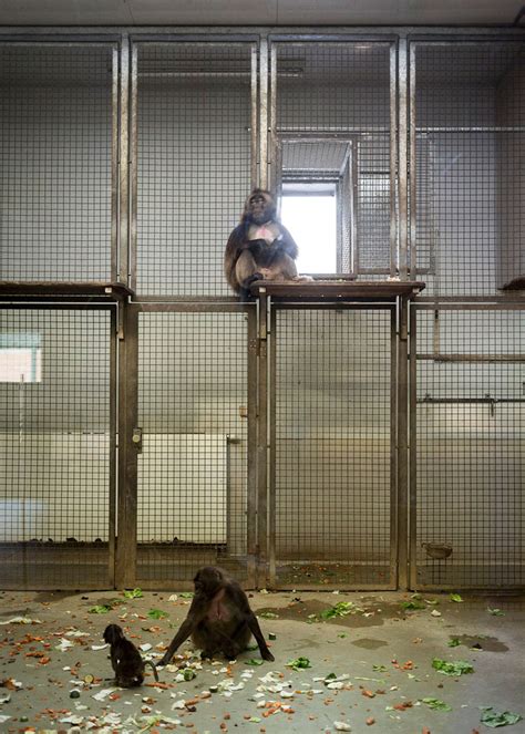 These Heartbreaking Photos Of Zoo Animals Are A Plea For Help And