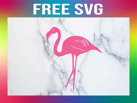 Collage Visual Arts Cute Summer Svg Flamingo Silhouet Vrogue Co