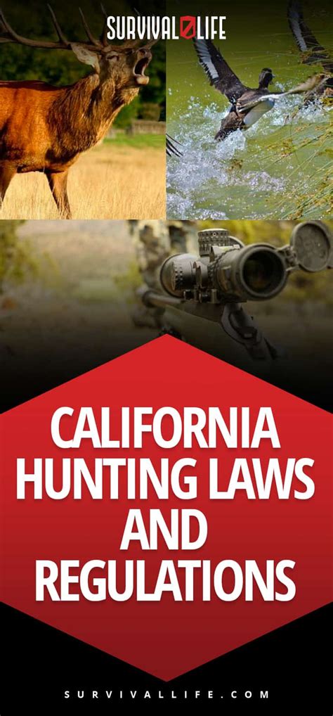 No attempt should be made to download music, video, software or any other copyright protected. California Hunting Laws and Regulations | Survival Life