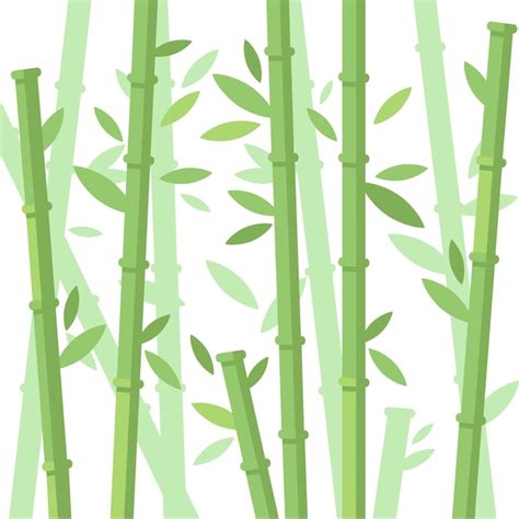 Arbres De Bambou Vert Tiges De Bambou Avec Des Feuilles Sur Fond Blanc