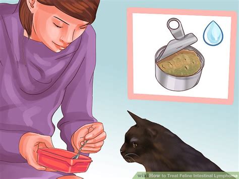 Webmd veterinary expert answers commonly asked questions about cancer in cats, including how common it is, what the symptoms are, and what one of the most common cancers we see in cats is lymphoma, which is associated with the feline leukemia virus (felv). 3 Ways to Treat Feline Intestinal Lymphoma - wikiHow