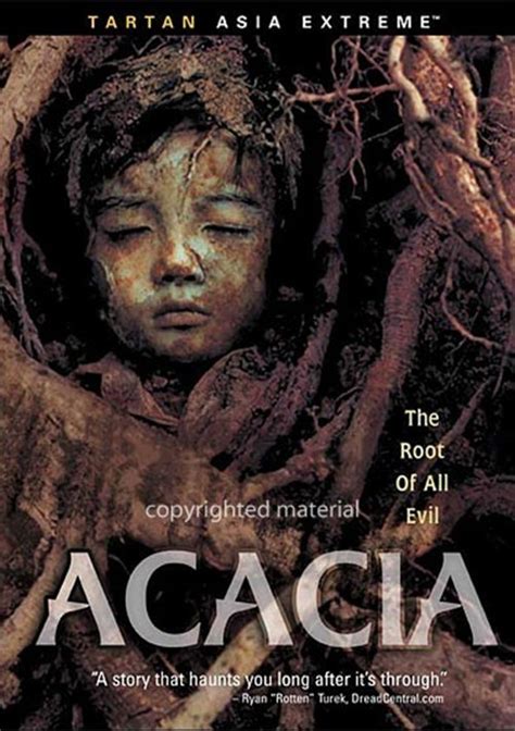 Acacia Dvd 2003 Dvd Empire