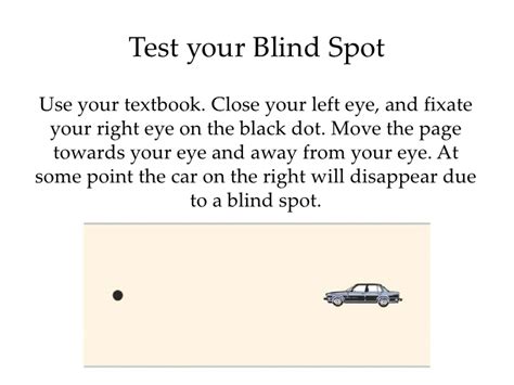 Blair, (2003) theory of camellia hancheva, nikolay r. Blind Spot Definition Psychology - BLINDS