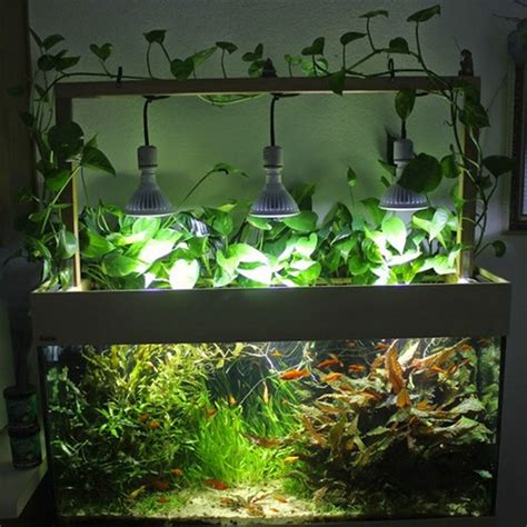 20 Diy Aquarium Light Ideas For Fish Tank Diyncrafty