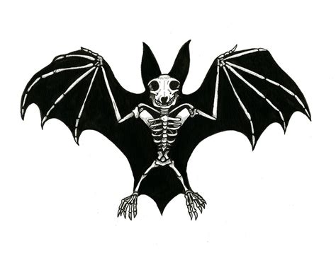 Bat Skeleton An Art Print By Amanda Muniz Inprnt