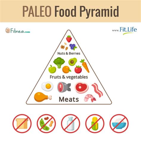 Paleo Food Pyramid What Foods Does It Contain