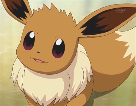Serenas Eevee Blushes By Willdynamo55 On Deviantart